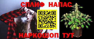 гашик Ликино-Дулёво