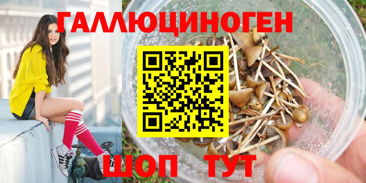 Псилоцибиновые грибы GOLDEN TEACHER  Вход с VPN  Галлюциногенные грибы MAGIC MUSHROOMS  Гатчина 